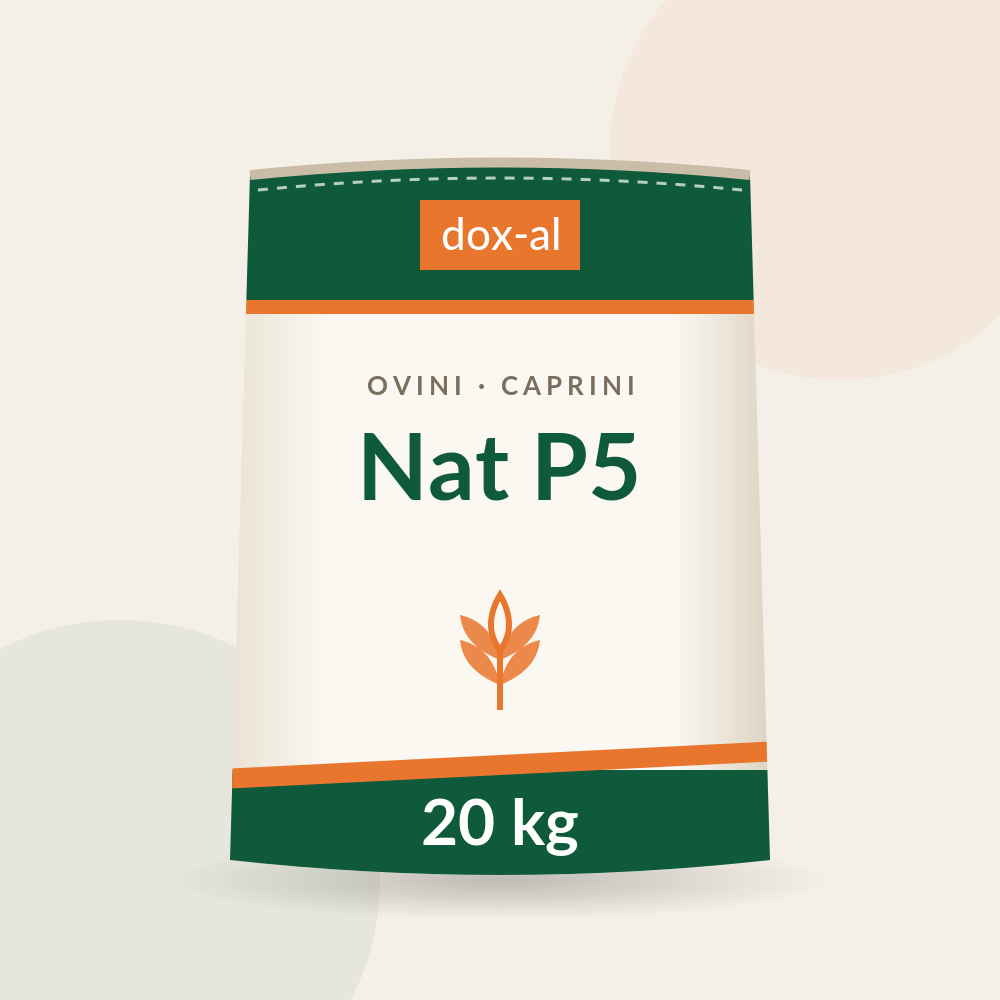 Nat P5