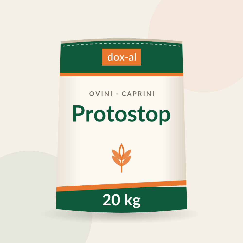 Protostop