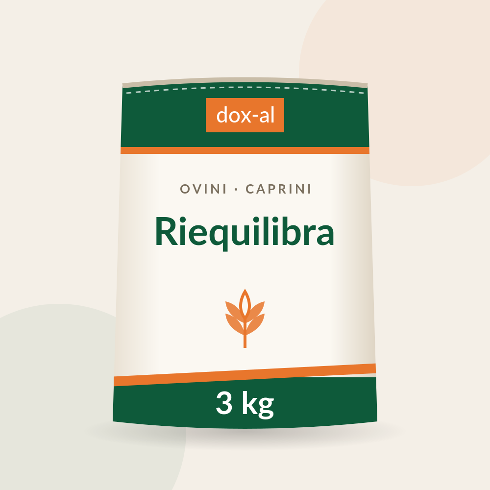 Riequilibra